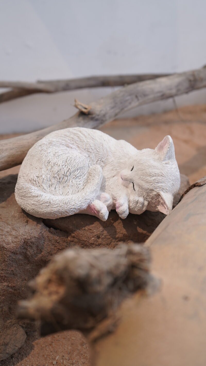 Sleeping Cat Idol | Soft Ivory Serene Comfort Finish | H10 × W17 × D20 cm
